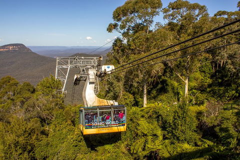 All-Inclusive Blue Mountains Day Trip With River Cruise - Accommodation Port Macquarie 39