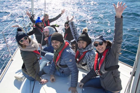 Whale Watching Sailing Experience In Sydney - Accommodation Port Macquarie 7