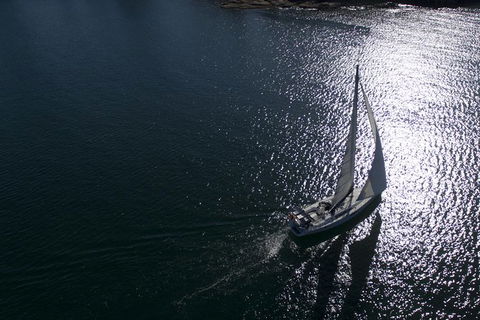 Whale Watching Sailing Experience In Sydney - Accommodation Port Macquarie 10