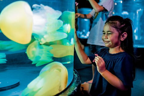 SEA LIFE Sydney Aquarium Entrance Ticket - Accommodation Port Macquarie 26