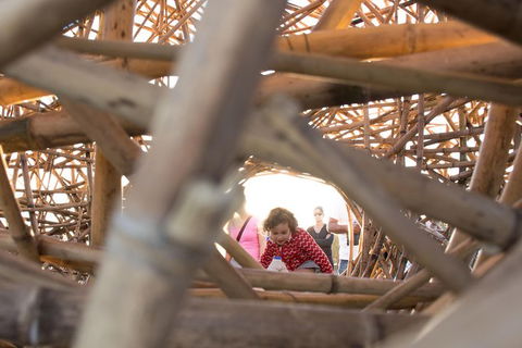 A Full Day In Sydney With A Local: Private & Personalized - Accommodation Port Macquarie 5