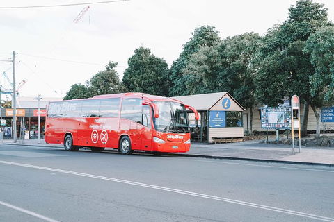 SkyBus Byron Bay Express - Accommodation Port Macquarie 1