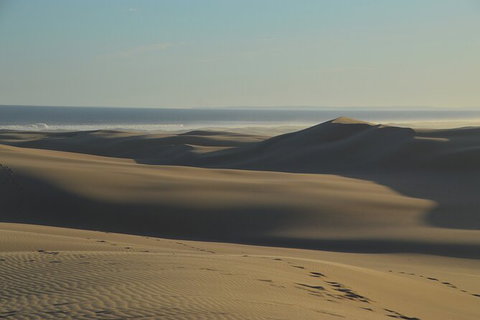 Port Stephens Bush, Beach And Sand Dune 4WD Passenger Tour - Accommodation Port Macquarie 6