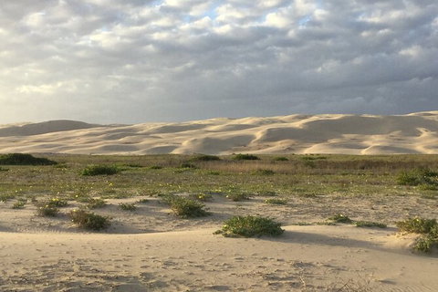 Port Stephens Bush, Beach And Sand Dune 4WD Passenger Tour - Accommodation Port Macquarie 3