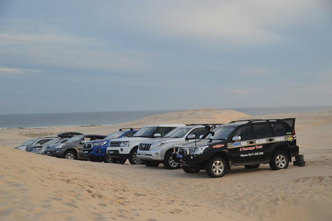 Port Stephens Bush, Beach And Sand Dune 4WD Passenger Tour - Accommodation Port Macquarie 7