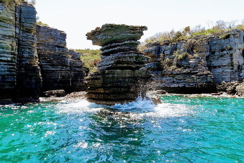 Jervis Bay Passage Tour - Accommodation Port Macquarie 15