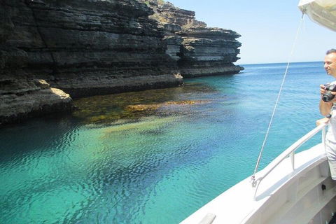 Jervis Bay Passage Tour - Accommodation Port Macquarie 14