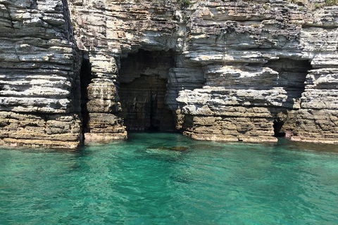 Jervis Bay Passage Tour - Accommodation Port Macquarie 13