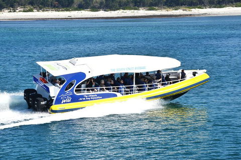 Jervis Bay Passage Tour - Accommodation Port Macquarie 11