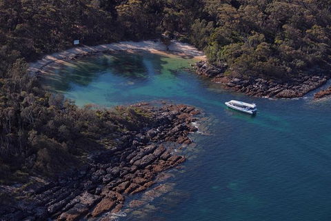 Jervis Bay Passage Tour - Accommodation Port Macquarie 9