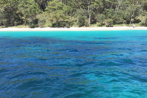 Jervis Bay Passage Tour - Accommodation Port Macquarie 5