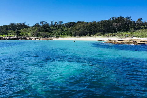 Jervis Bay Passage Tour - Accommodation Port Macquarie 2