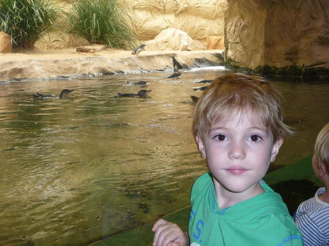 WILD LIFE Sydney Entrance Ticket - Accommodation Port Macquarie 5