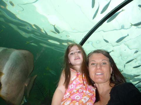 WILD LIFE Sydney Entrance Ticket - Accommodation Port Macquarie 4