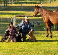 Meet The Animals - Accommodation Port Macquarie