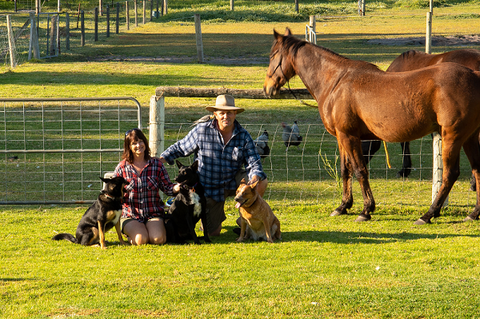 Meet The Animals - Accommodation Port Macquarie 0