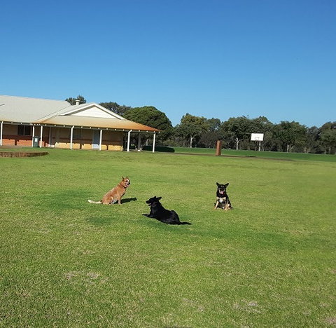 Meet The Animals - Accommodation Port Macquarie 3