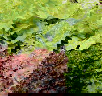 Apple Tree Creek - Accommodation Port Macquarie