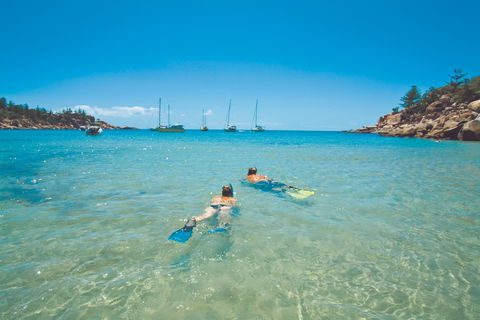 Arcadia At Magnetic Island - Accommodation Port Macquarie 0