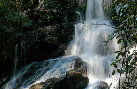 Bangalore Falls Walking Track - Accommodation Port Macquarie 0