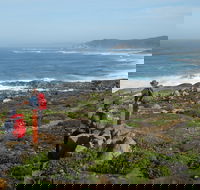 Bibbulmun Track - Accommodation Port Macquarie