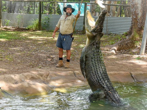 Billabong Sanctuary - Accommodation Port Macquarie 1