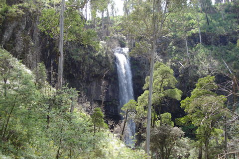 Bindaree Falls - Accommodation Port Macquarie 0