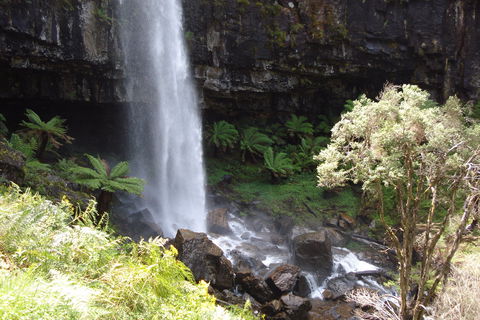 Bindaree Falls - Accommodation Port Macquarie 1