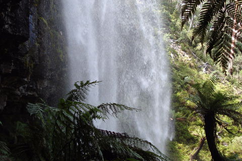 Bindaree Falls - Accommodation Port Macquarie 2