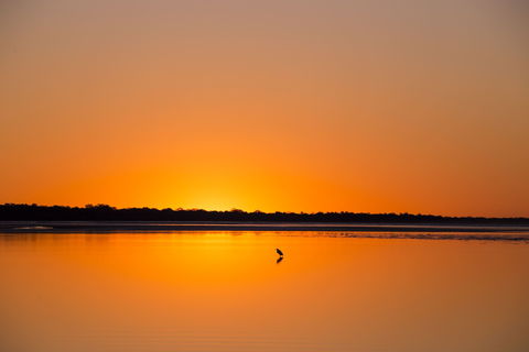 Birdwatching On The Fraser Coast - Accommodation Port Macquarie 1