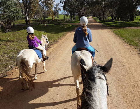 Bits And Boots Pony Rides - Accommodation Port Macquarie 0
