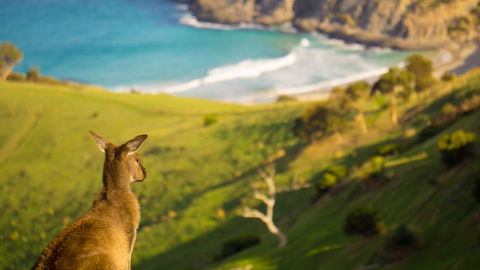 Blowhole Beach - Accommodation Port Macquarie 1