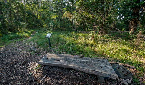 Browns Forest Loop Trail - Accommodation Port Macquarie 0