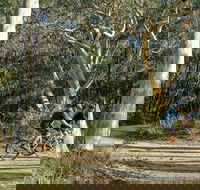 Bundanoon cycling route - Accommodation Port Macquarie