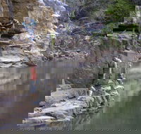 Butterfly Gorge Nature Park - Accommodation Port Macquarie