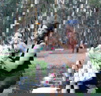 Buxton Trout and Salmon Farm - Accommodation Port Macquarie