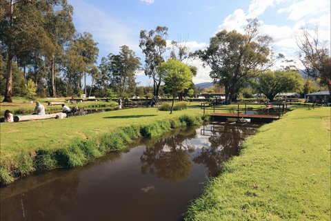Buxton Trout And Salmon Farm - Accommodation Port Macquarie 1
