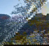 Canyon Picnic Area - Accommodation Port Macquarie