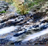 Casuarina Falls Circuit - Accommodation Port Macquarie