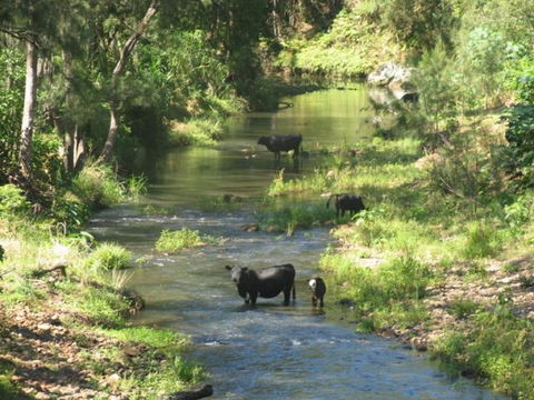 Chillingham - Accommodation Port Macquarie 1