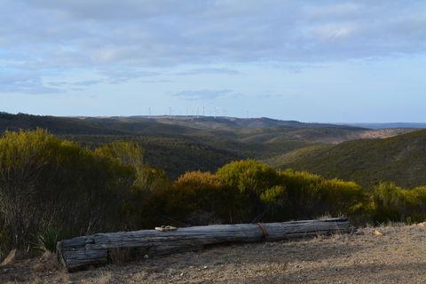 Cleve Hills Scenic Drive & Lookout - Accommodation Port Macquarie 0