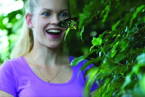 Coffs Harbour Butterfly House - Accommodation Port Macquarie 0