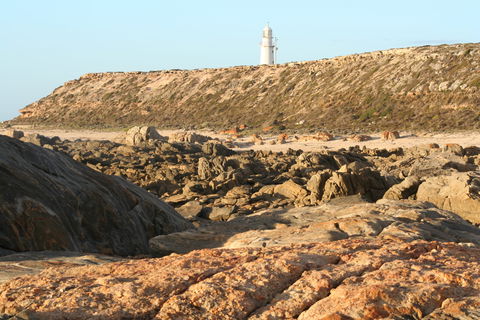 Corny Point Lighthouse - Accommodation Port Macquarie 0