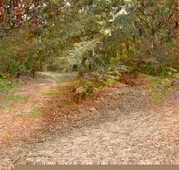 Daleys Point Walking Track - Accommodation Port Macquarie