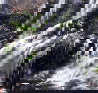 Darkes Forest - Accommodation Port Macquarie