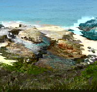 Diamond Head Loop Walk - Accommodation Port Macquarie
