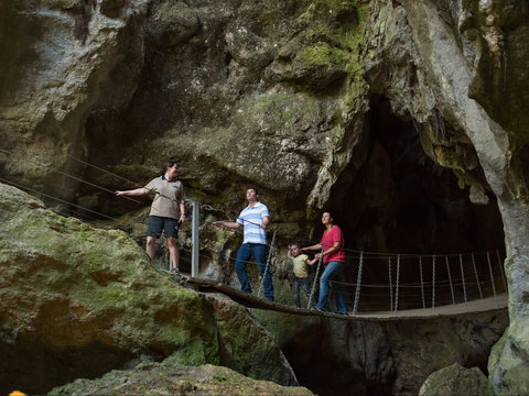 Dig The Tropic - Accommodation Port Macquarie 0