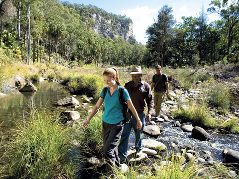 Dig The Tropic - Accommodation Port Macquarie 1