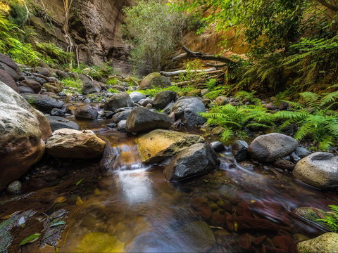 Dig The Tropic - Accommodation Port Macquarie 2