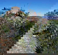 Evans Crown Nature Reserve - Accommodation Port Macquarie
